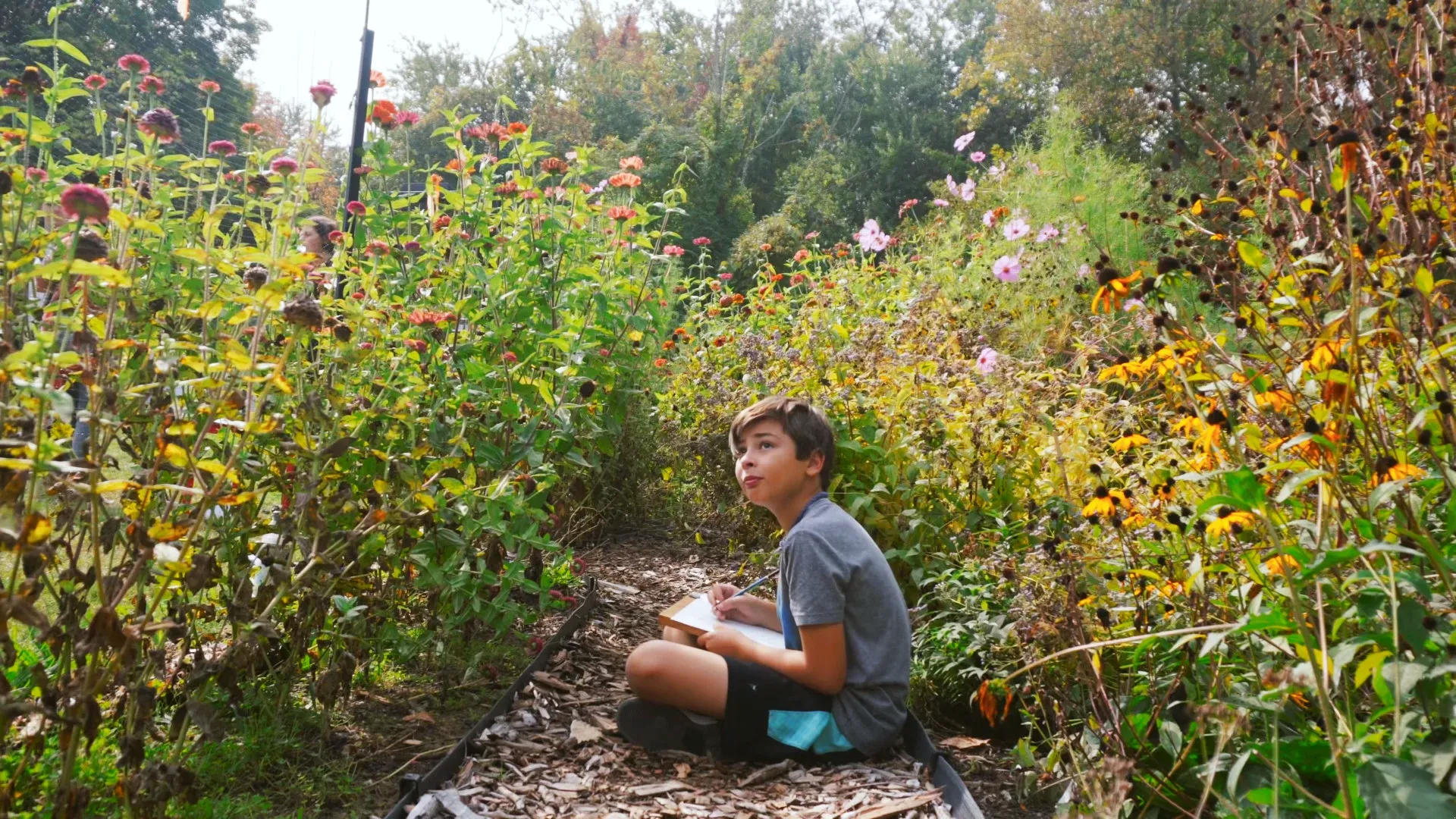 Students exploring the Peabody Preserve outdoor classroom in Tarrytown, NY.