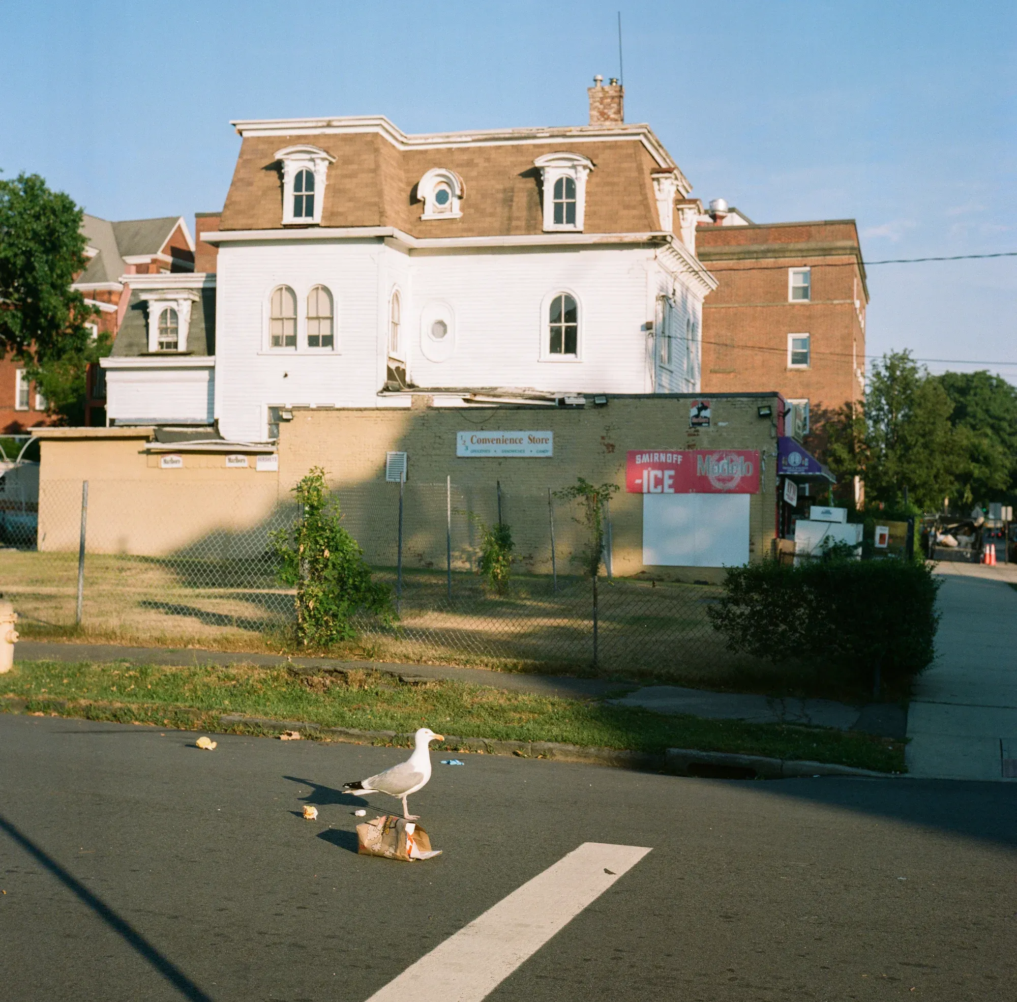 Storefront and streetscape, Bridgeport CT — frame 2.
