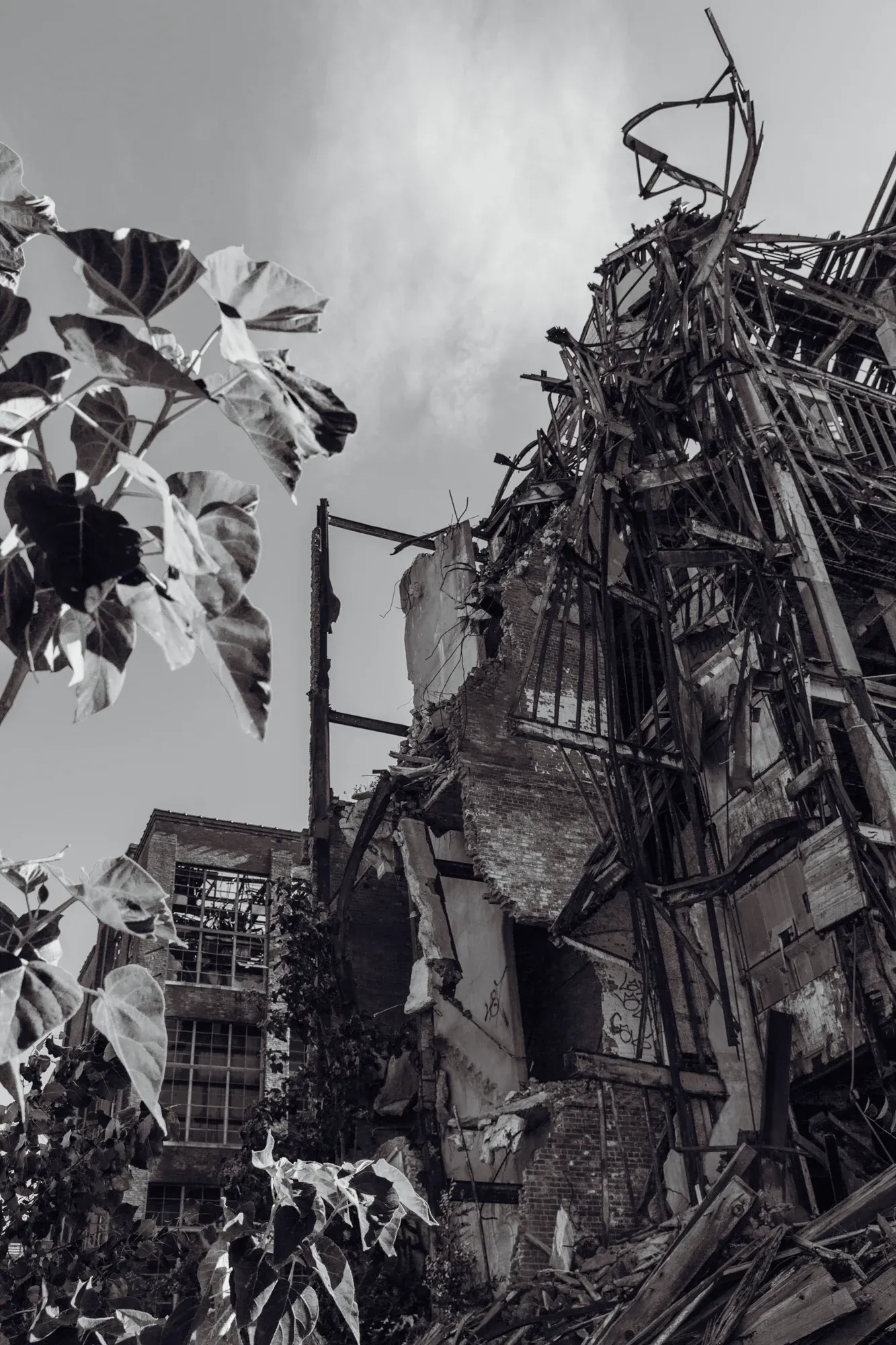 The Remington Factory before demolition, Bridgeport CT — frame 7.