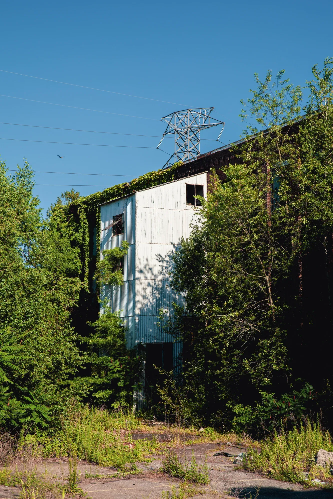 The Remington Factory before demolition, Bridgeport CT — frame 13.